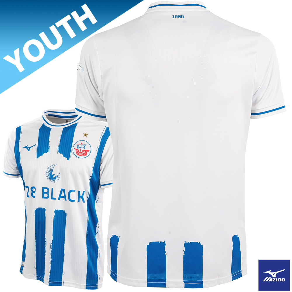 MIZUNO Trikot 2024/2025 Youth Streifen weiß