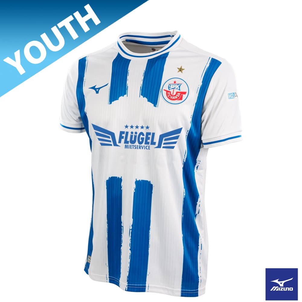 MIZUNO Trikot 24/25 Youth Streifen Flügel