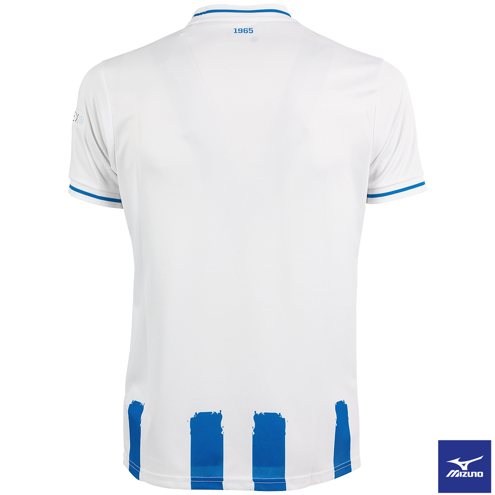 MIZUNO Trikot 2024/2025 Damen Streifen weiß