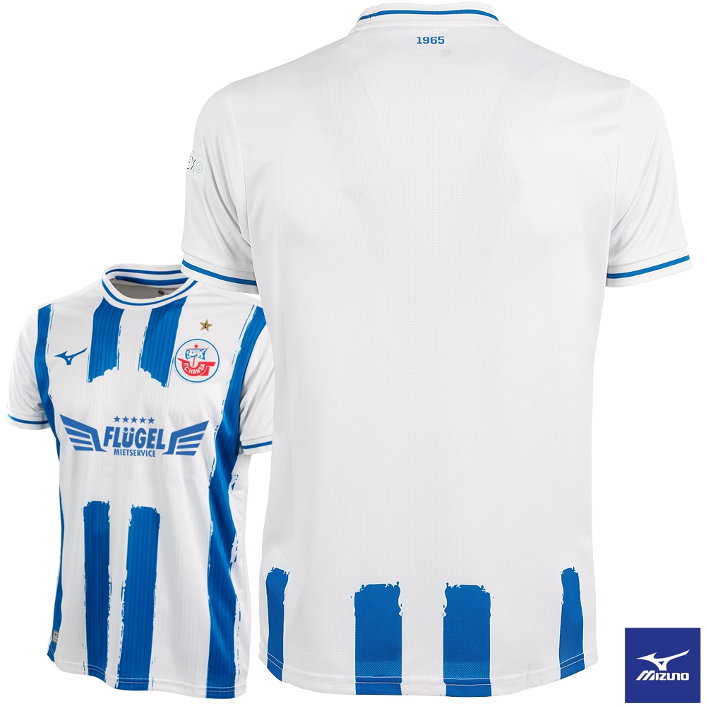 Pre-Sale: MIZUNO Trikot 24/25 Herren Streifen Flügel